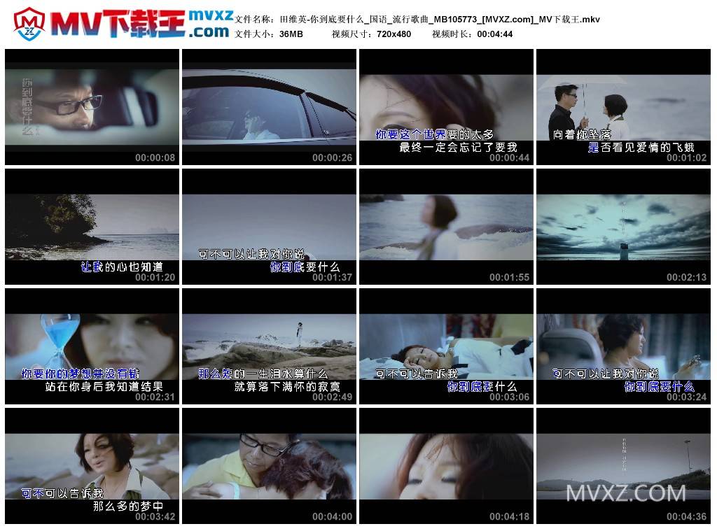 田维英-你到底要什么_国语_流行歌曲_MB105773